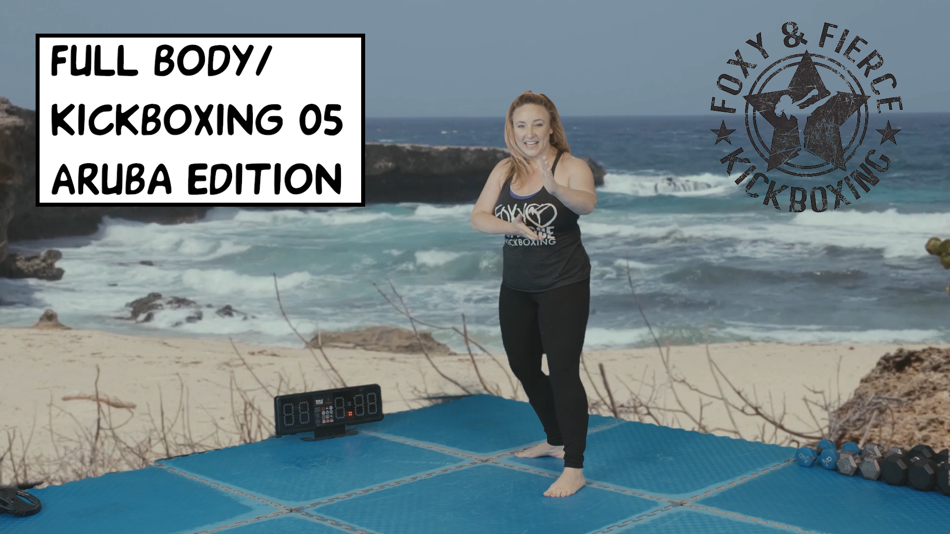 Full Body/ Muay Thai Conditioning 05 Foxy & Fierce Kickboxing Bootcamp